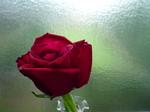 P1010748.JPG